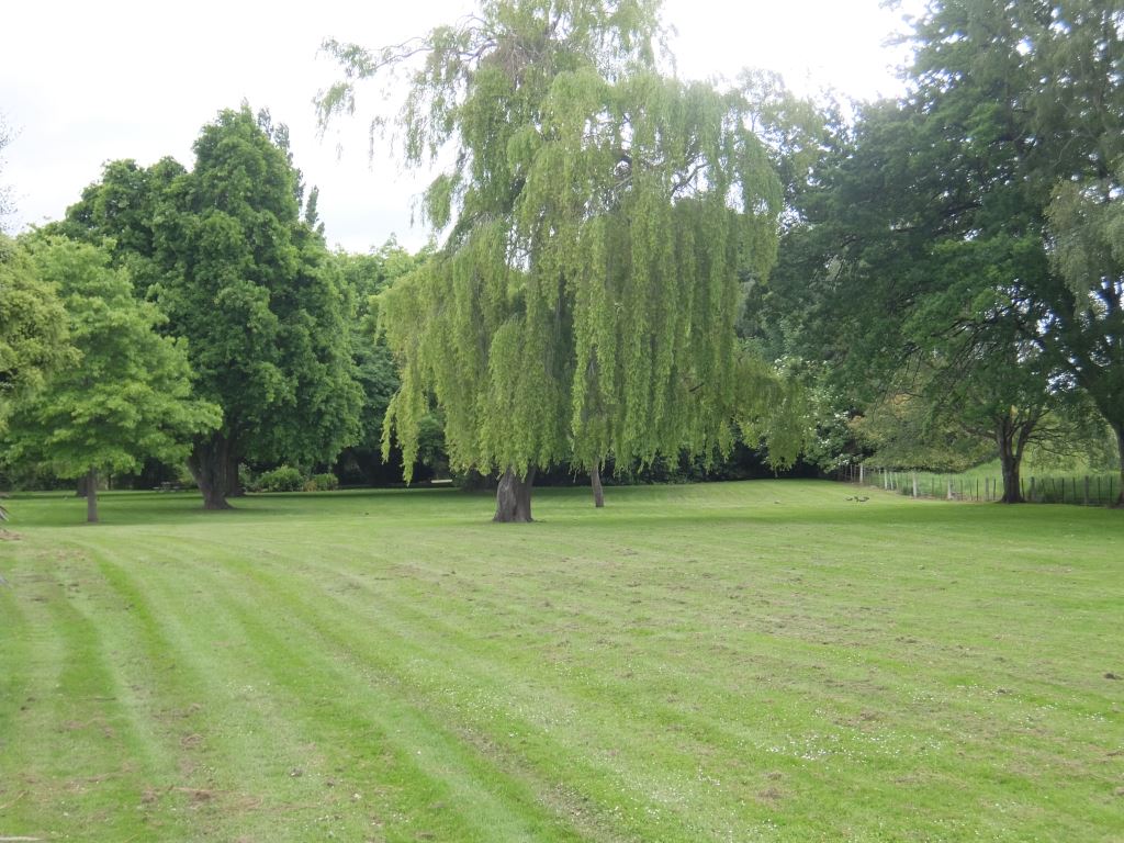 Balclutha Motor Camp grassed tent area Balclutha Motor Camp grassed tent area
